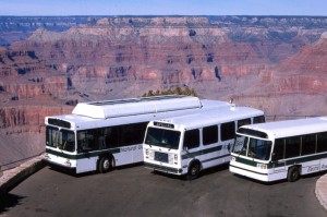 Buses at the Grand Canyon