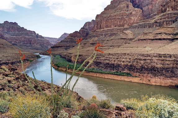 Colorado River in Grand Canyon