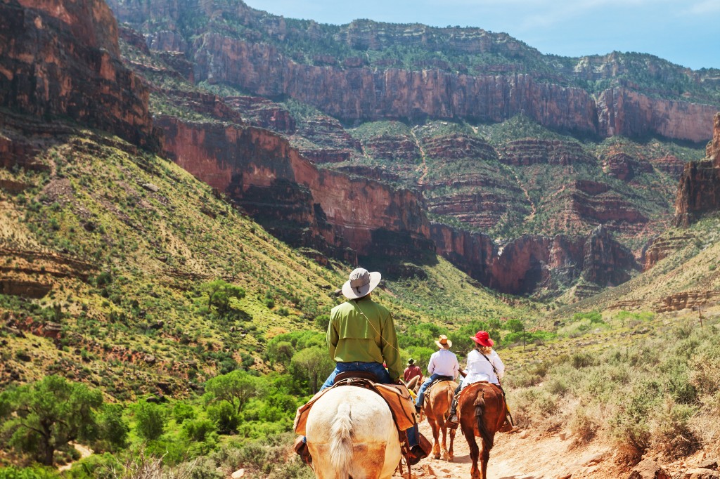 Hoseback in Grand Canyon